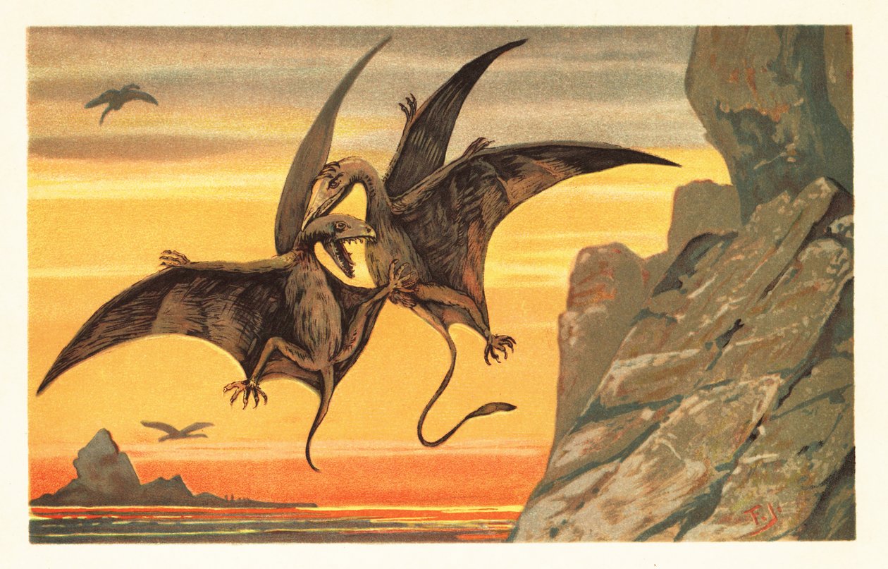 Två pterodactyler slåss mitt i flykten mot en röd himmel. 1908 (litografi) av Unbekannter Künstler