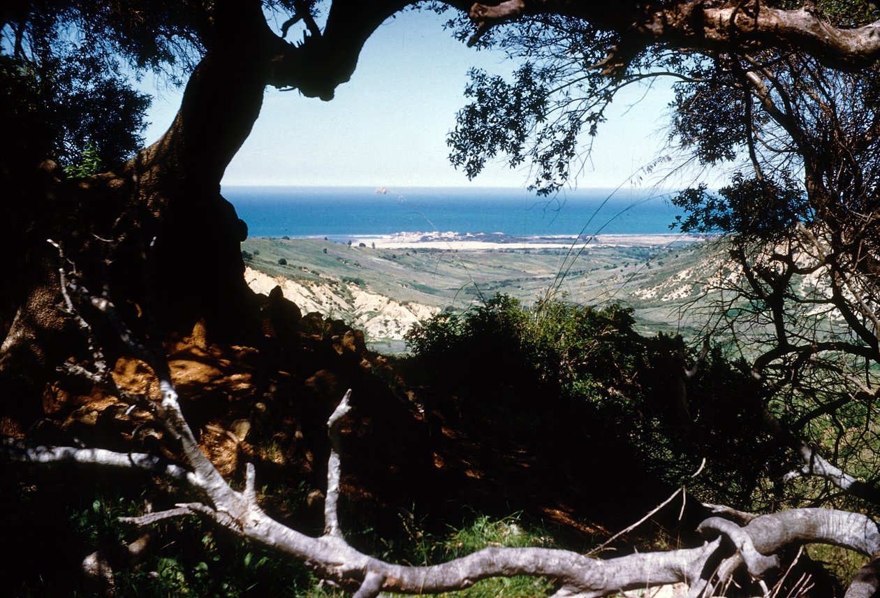 Utsikt över Medelhavet, Kabylien, Algeriet av Unbekannter Künstler