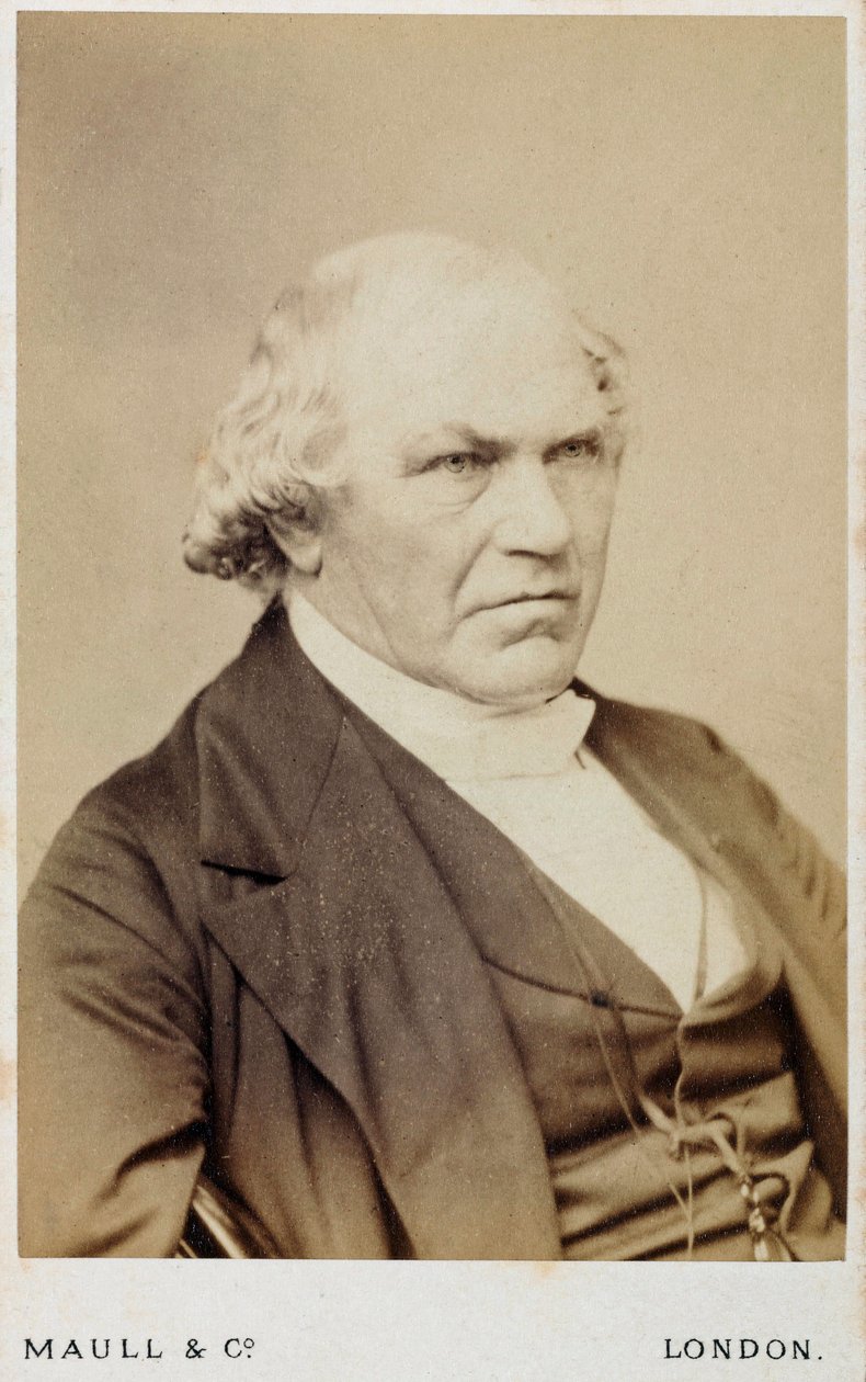 William Whewell, engelsk polymath, c 1866-1879 av Unbekannt