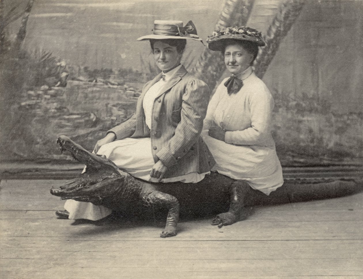 Kvinnor sitter på en uppstoppad alligator, ca 1905 (s/v foto) av Unbekannter Künstler