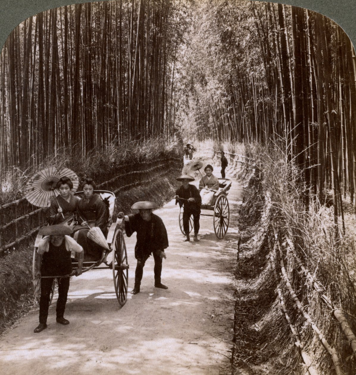 Bamboo Avenue, med utsikt mot sydväst, nära Kiyomizu, Kyoto, Japan, 1904 av Underwood and Underwood
