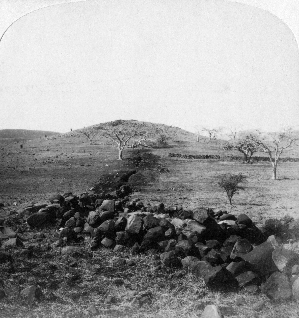 Boergraven och krönet av Harts Hill, scen för den irländska brigadens berömda anfall, Colenso, 1901 av Underwood and Underwood