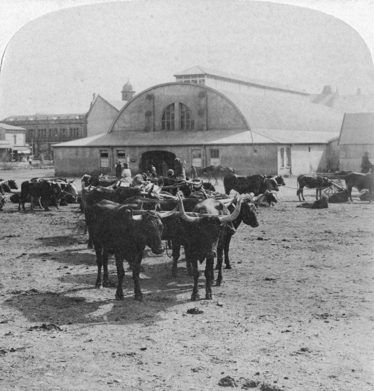 Byggnad där krigsfångar ställdes inför rätta, Pretoria, Sydafrika, Boerkriget, 1901 av Underwood and Underwood