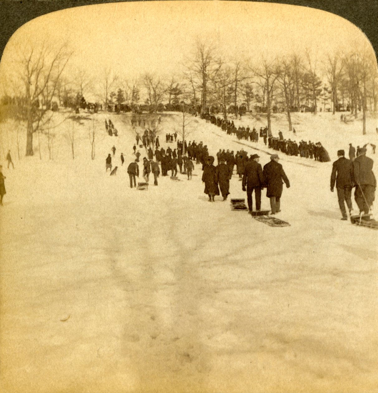 Kanadensiska vintersporter - pulkaåkning, 1905. av Underwood and Underwood