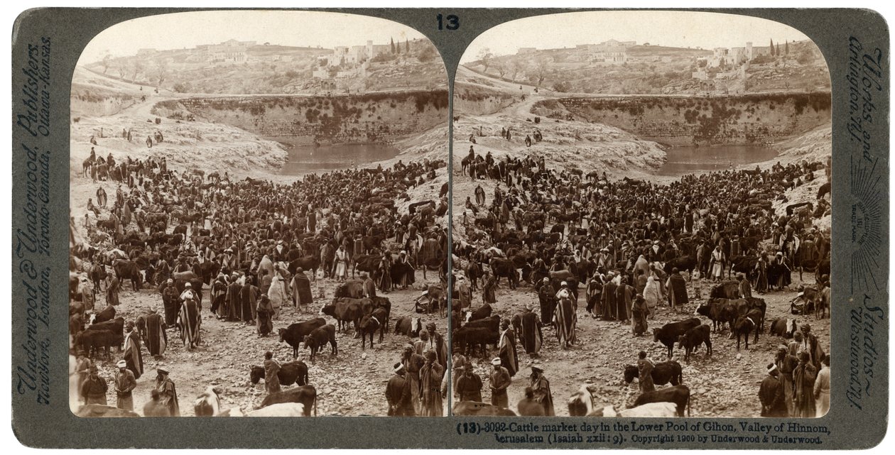 Boskapsmarknadsdag, i Gihons nedre bassäng, Hinnomdalen, Jerusalem, Palestina, 1900. av Underwood and Underwood