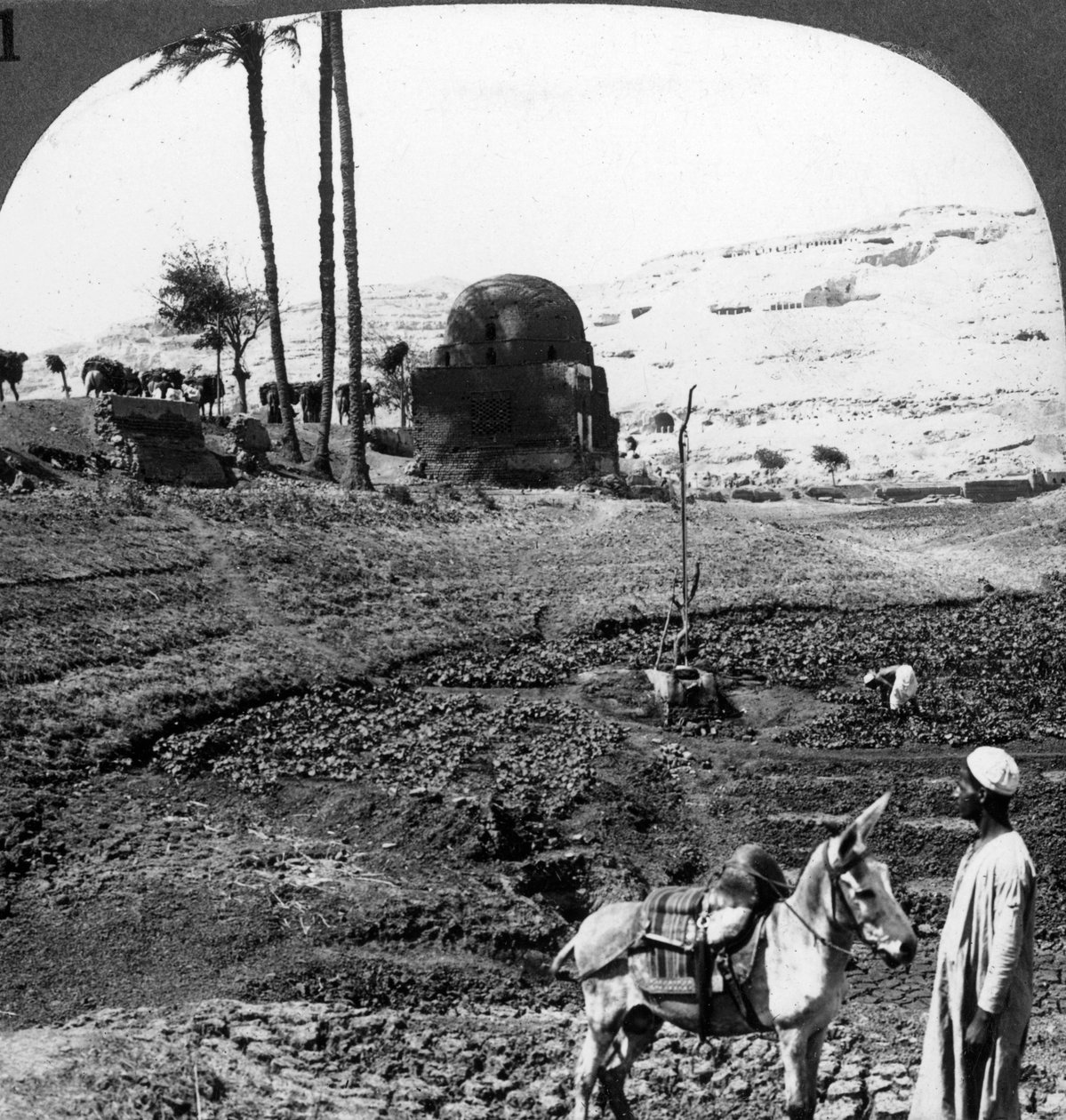 Klippgravar av Assiuts herrar, Egypten, 1905. av Underwood and Underwood