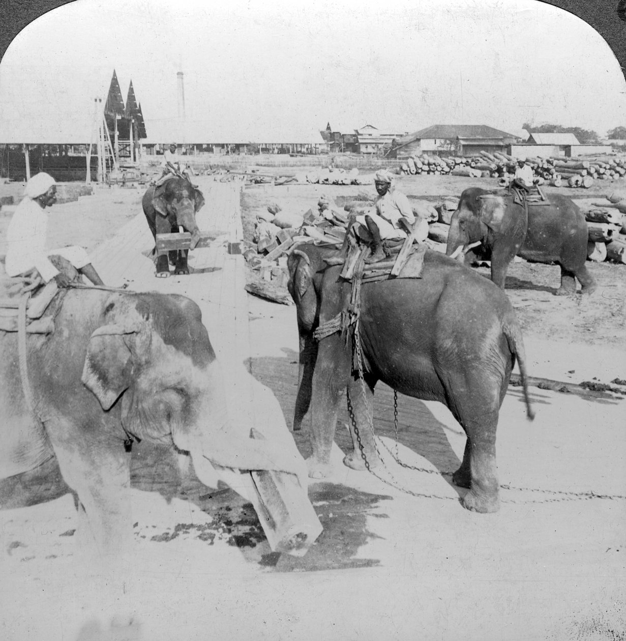 Elefanter som arbetar i en timmergård, Indien, c1900-talet. av Underwood and Underwood