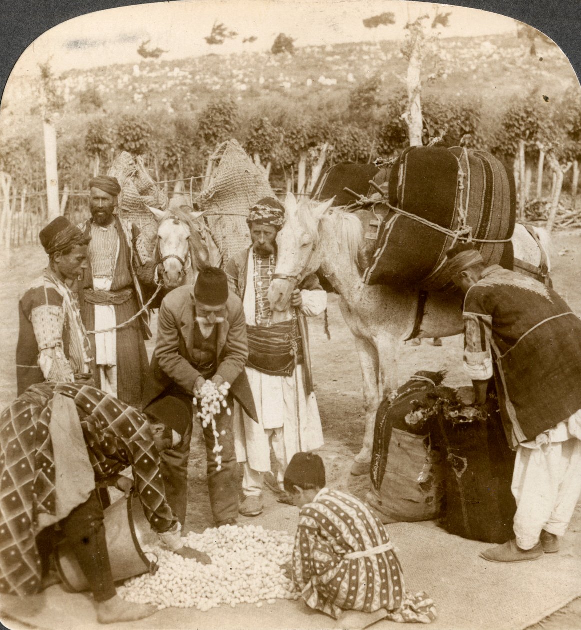 Experter som köper sidenkokonger för export till Frankrike, Antiokia, Syrien, 1900-talet. av Underwood and Underwood
