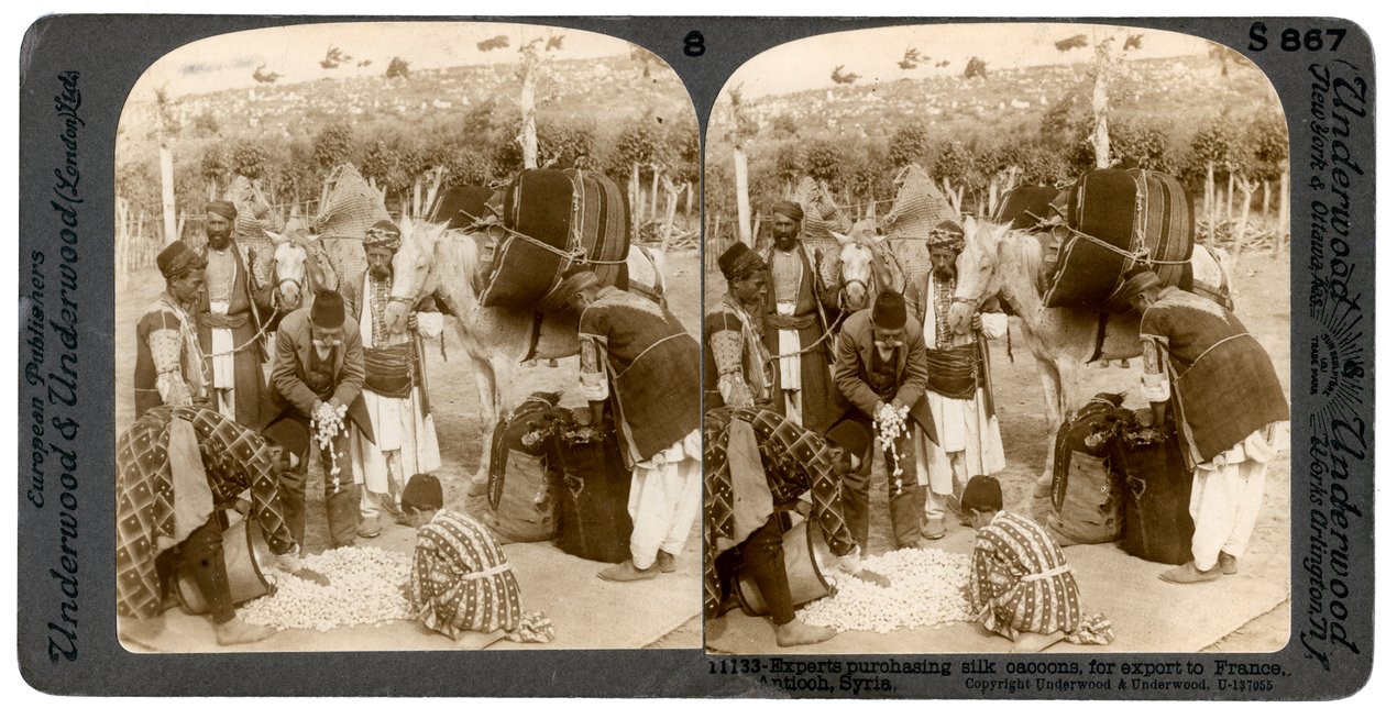 Experter som köper sidenkokonger för export till Frankrike, Antiokia, Syrien, 1900-talet. av Underwood and Underwood