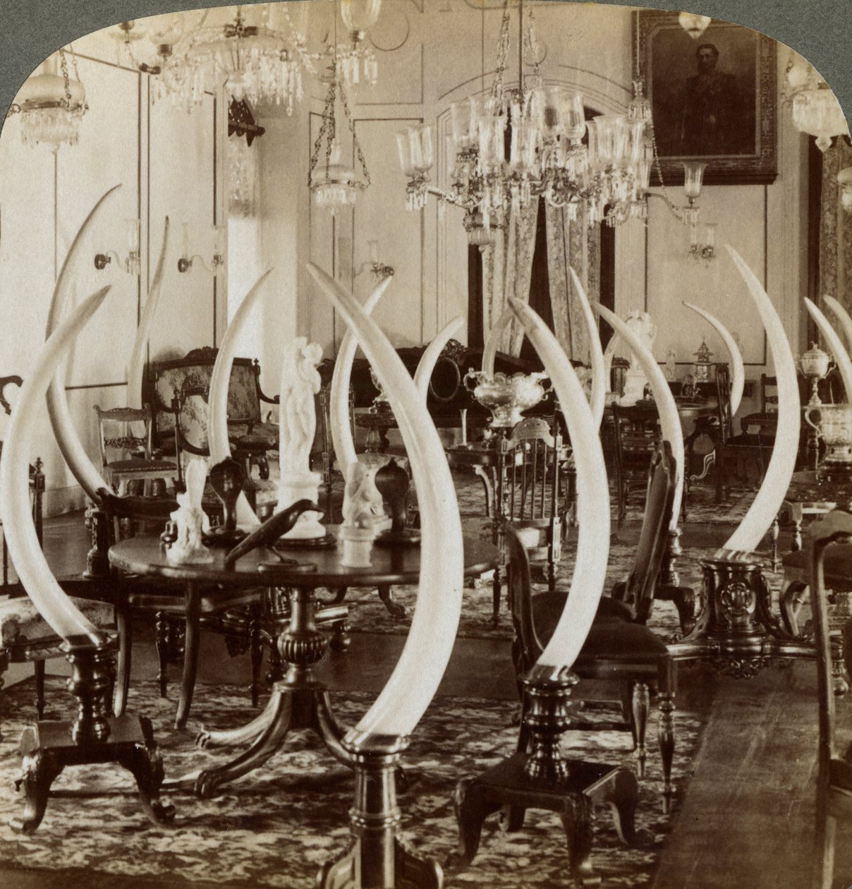 Hall of Tusks, i Lady de Soysas hem, Bambalapitiya, Colombo, Ceylon, 1903 av Underwood and Underwood