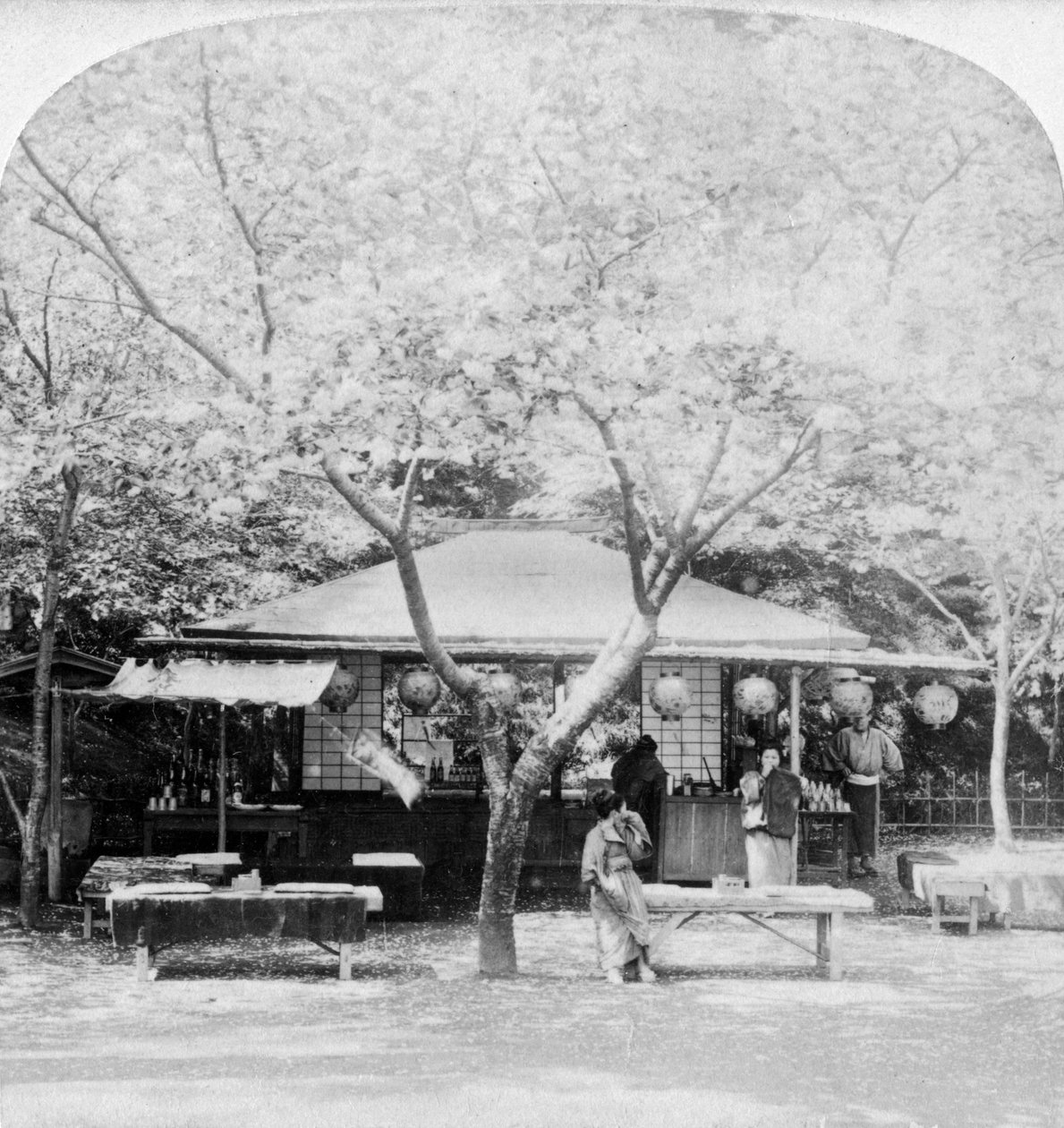 I hjärtat av blomsterriket, Nara, Japan, 1896. av Underwood and Underwood