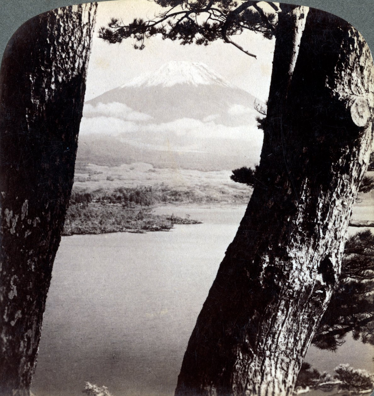 Mount Fuji, sett från nordväst, genom tallar vid sjön Motosu, Japan, 1904 av Underwood and Underwood