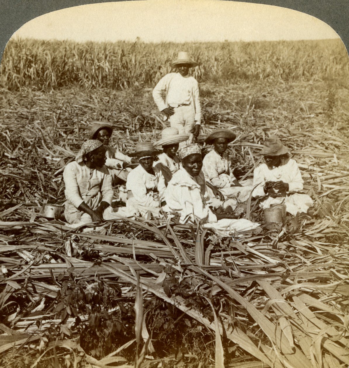 På La Union sockerplantage, San Luis, Santiago-provinsen, Kuba, 1899. av Underwood and Underwood