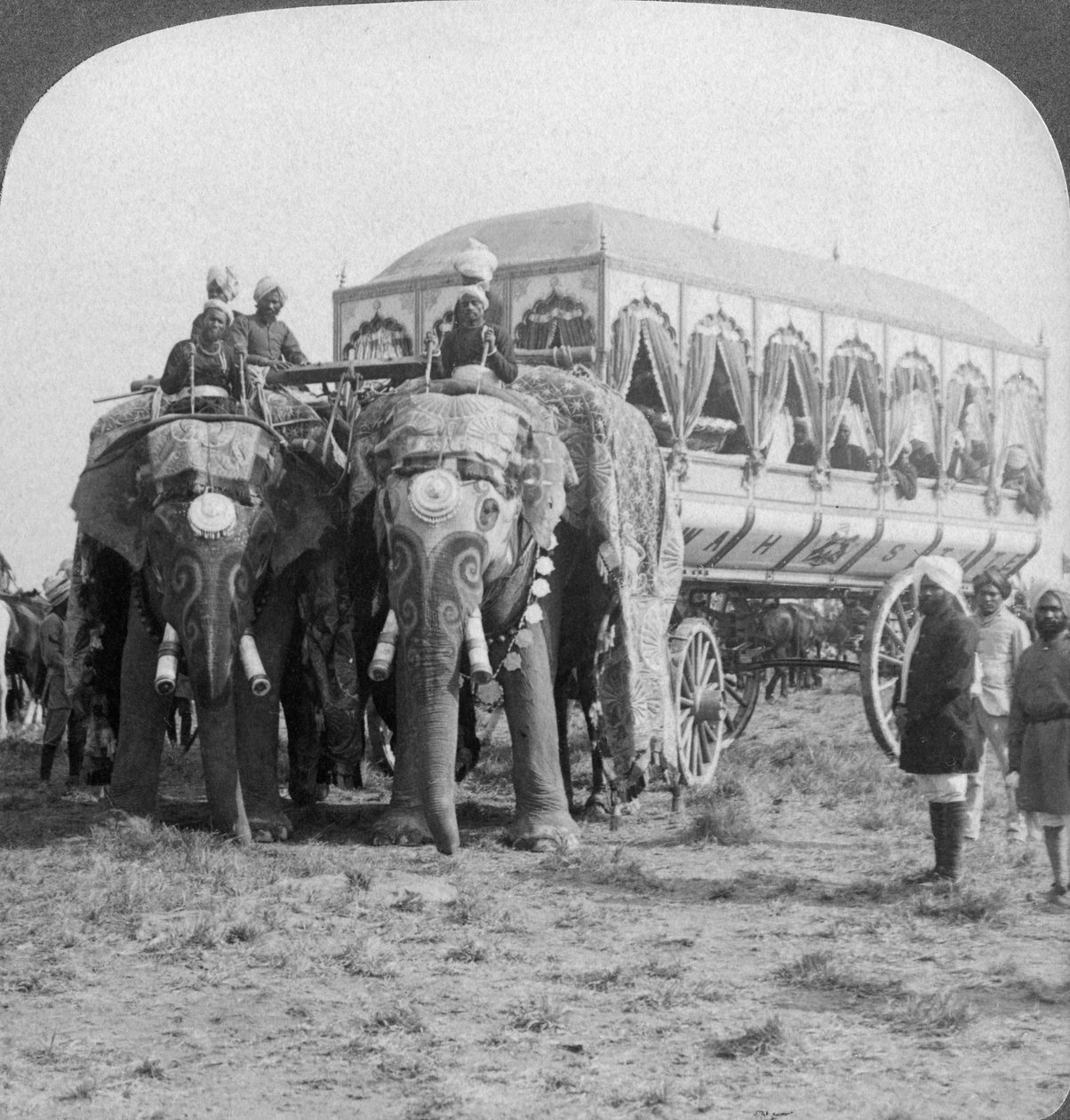 Rikt utsmyckade elefanter och vagn av Maharaja av Rewa vid Delhi Durbar, Indien, 1903 av Underwood and Underwood