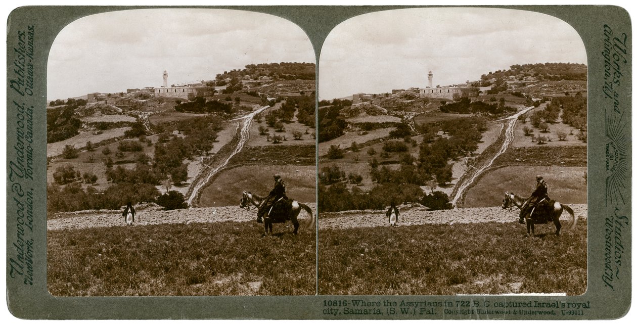 Samaria, sydvästra Palestina, 1900-talet. av Underwood and Underwood