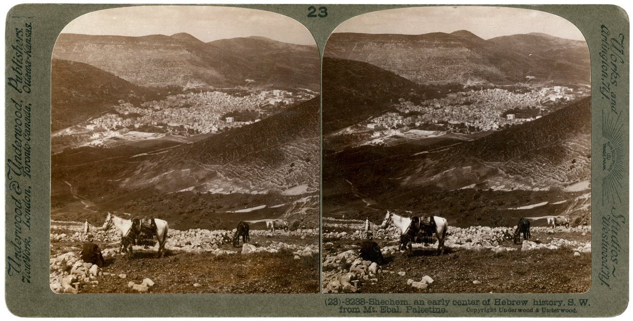 Sikem, sydväst från berget Ebal, Palestina, 1900-talet. av Underwood and Underwood