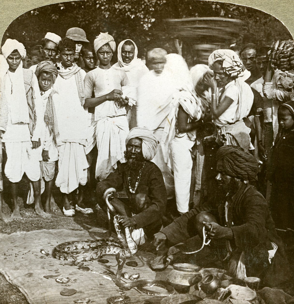 Ormtjusare, Calcutta, Indien, ca 1900-talet. av Underwood and Underwood