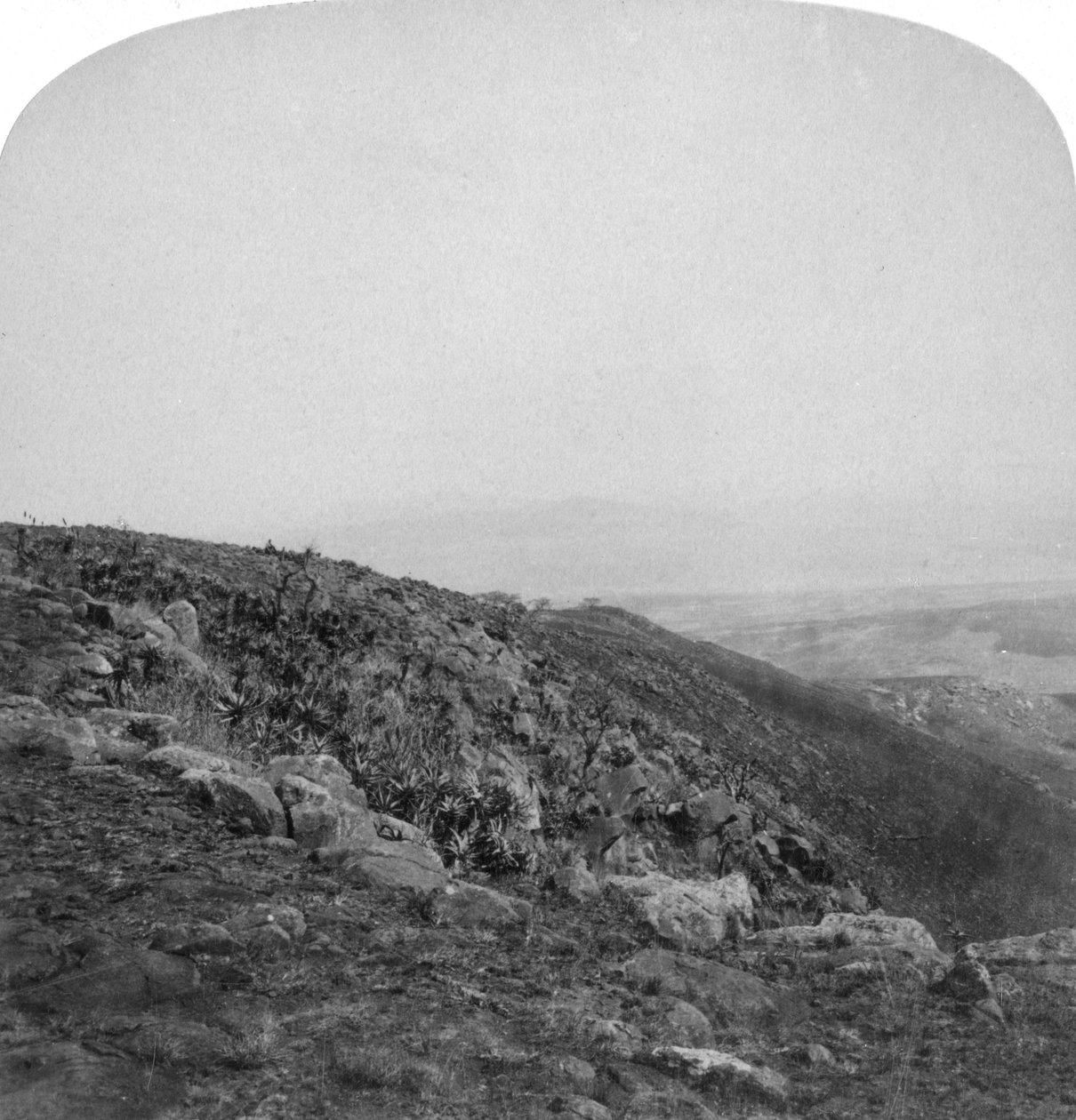 Södra sluttningen av Spion Kop, Sydafrika, Boerkriget, 1901. av Underwood and Underwood