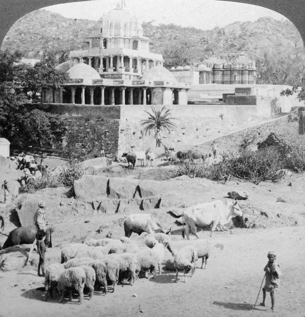 Jainernas tempel, Abu-berget, Indien, 1902. av Underwood and Underwood