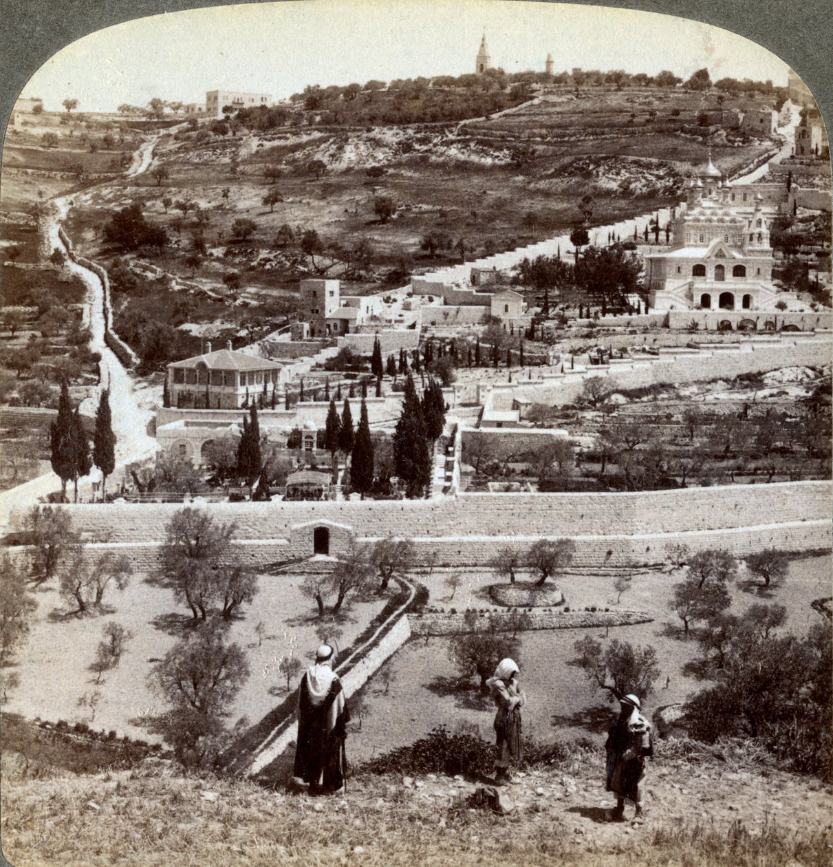 Getsemane trädgård och Oljeberget, Palestina, 1908. av Underwood and Underwood