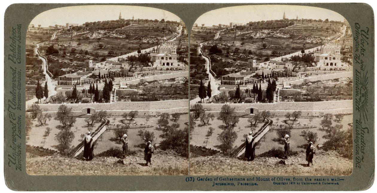 Getsemane trädgård och Oljeberget, Palestina, 1908. av Underwood and Underwood