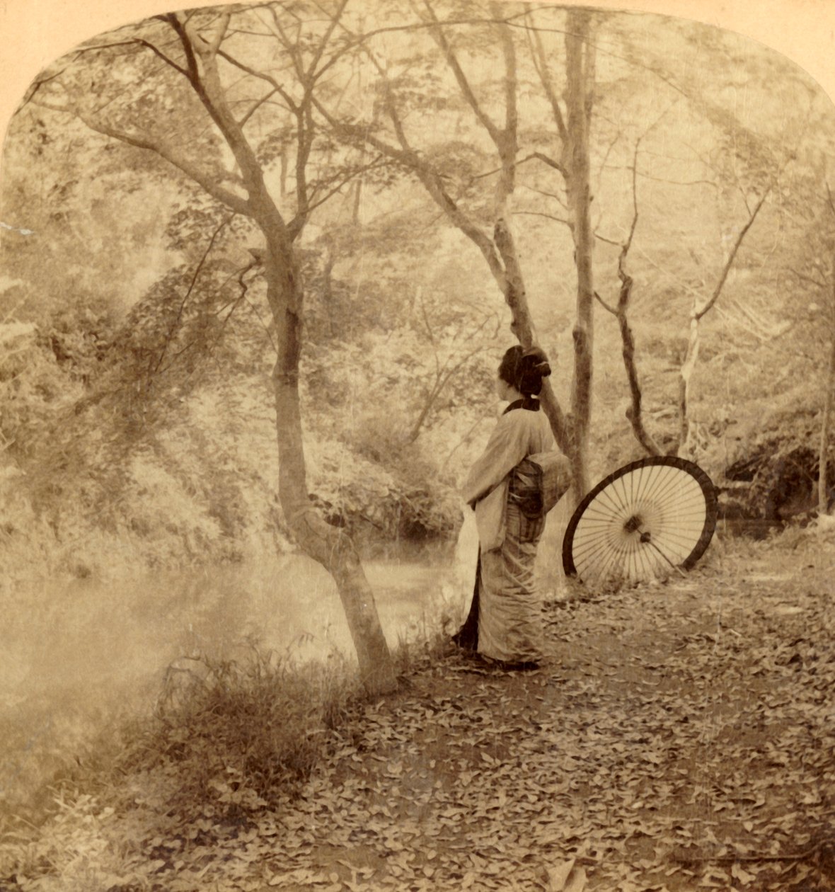 Höstens gyllene dagar i Japan, 1896. av Underwood and Underwood