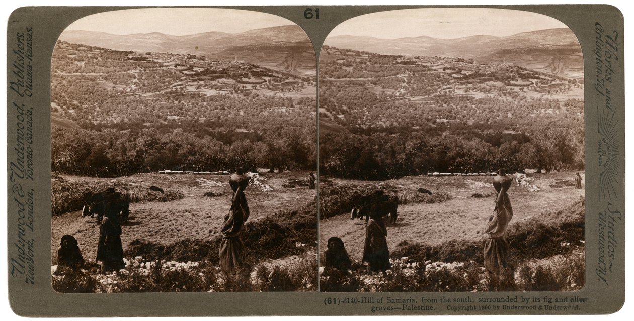 Samarias kulle, från söder, omgiven av sina fikon- och olivlundar, Palestina, 1900. av Underwood and Underwood