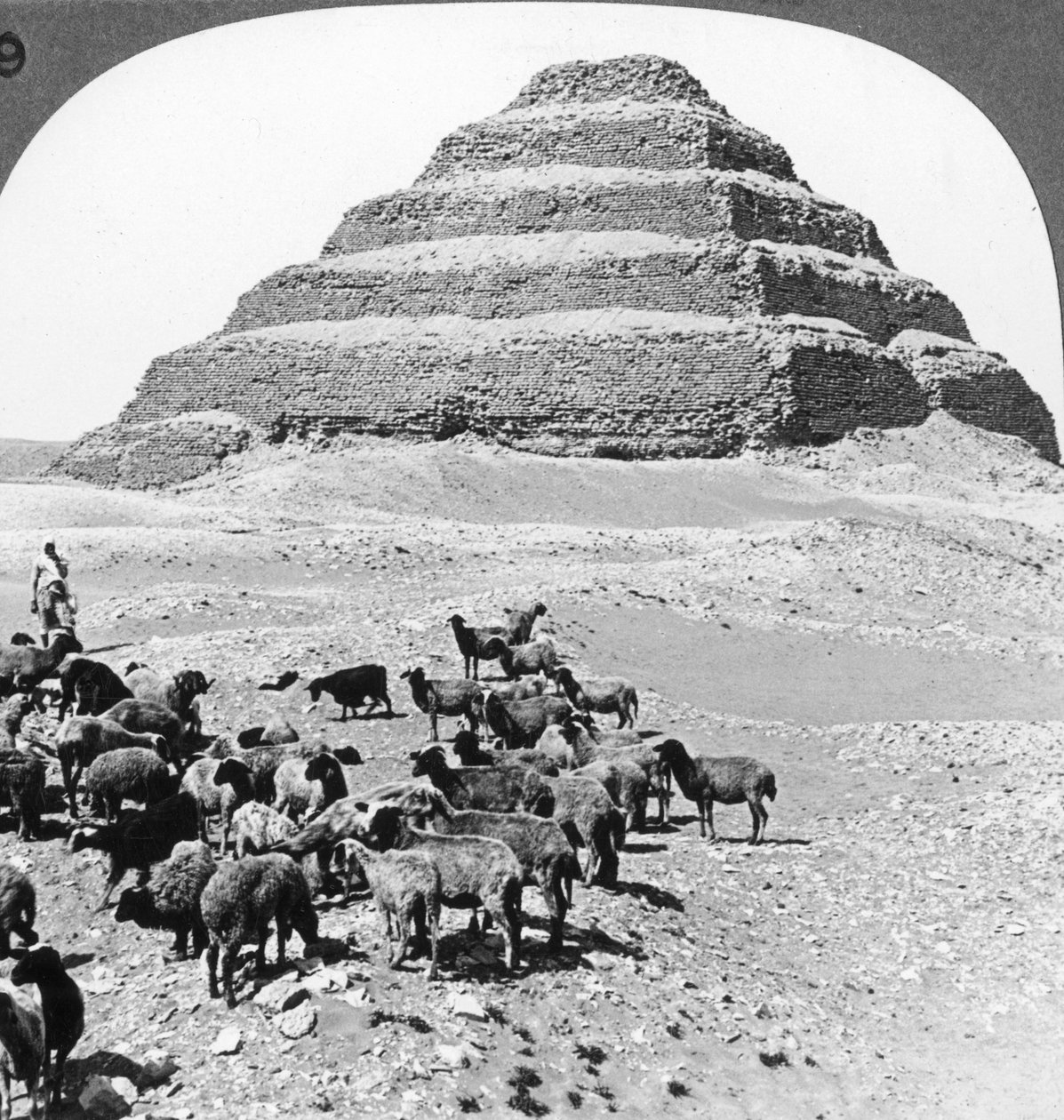 Pyramiden i Sakkarah, Egypten, 1905. av Underwood and Underwood