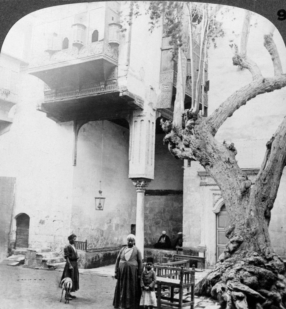 Haremsfönstren i hovet till ett förmöget hus i Kairo, Kairo, Egypten, 1905. av Underwood and Underwood