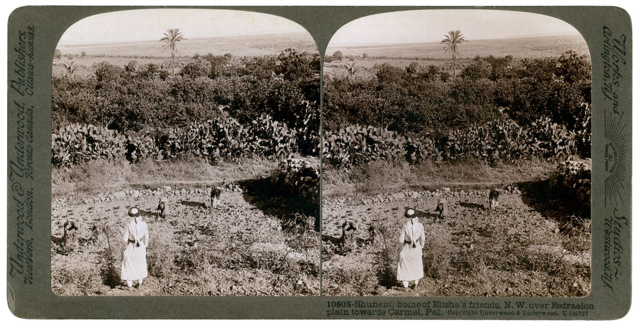 Den nordvästliga utsikten från Shunem, över Esdraelonslätten, mot Carmel, 1900-talet. av Underwood and Underwood