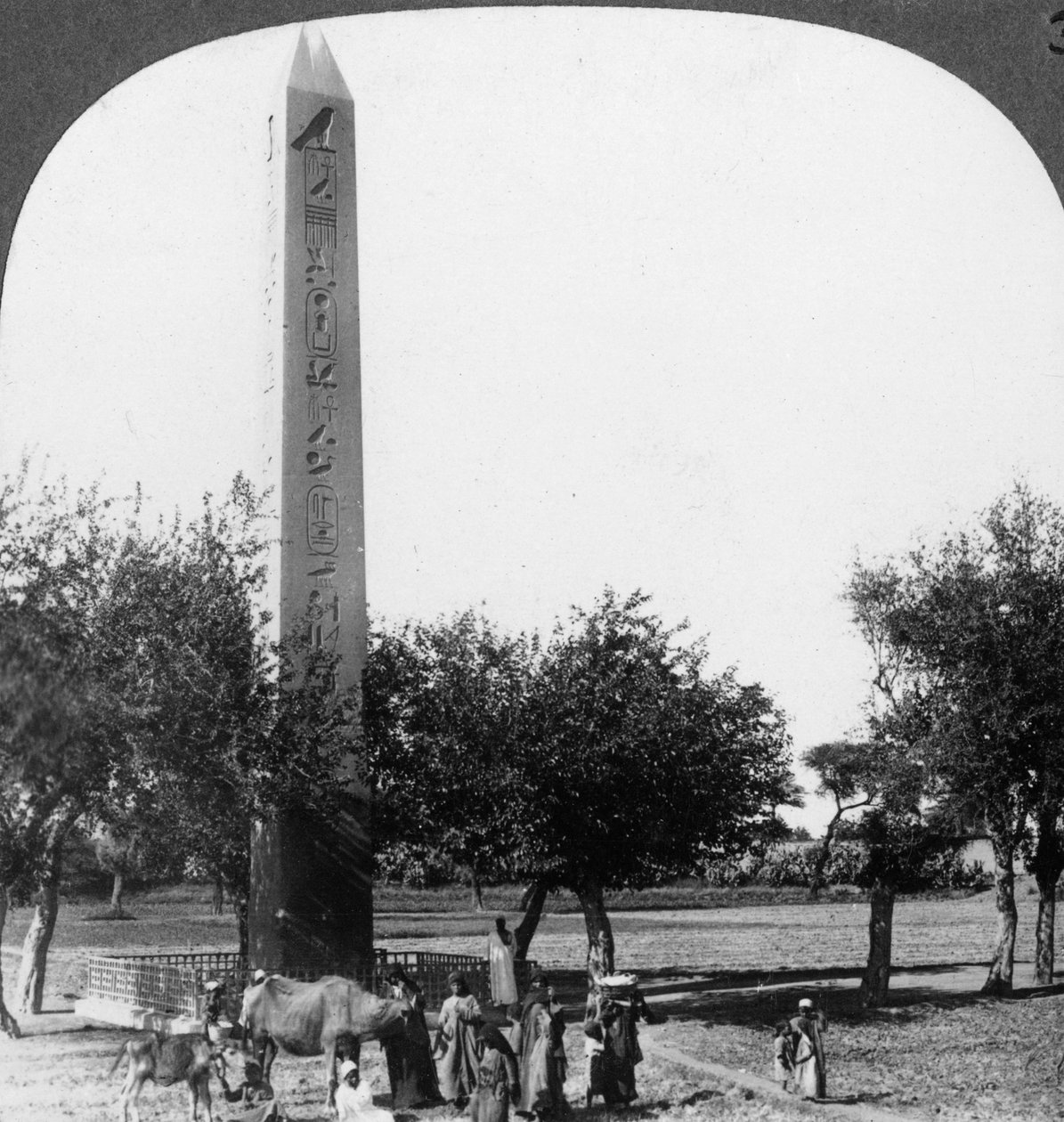 Obelisken i Heliopolis, Egypten, 1905. av Underwood and Underwood