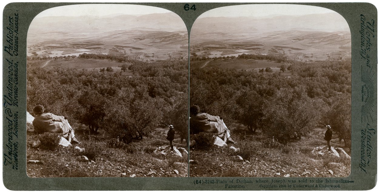 Dothanslätten, Palestina, 1900. av Underwood and Underwood