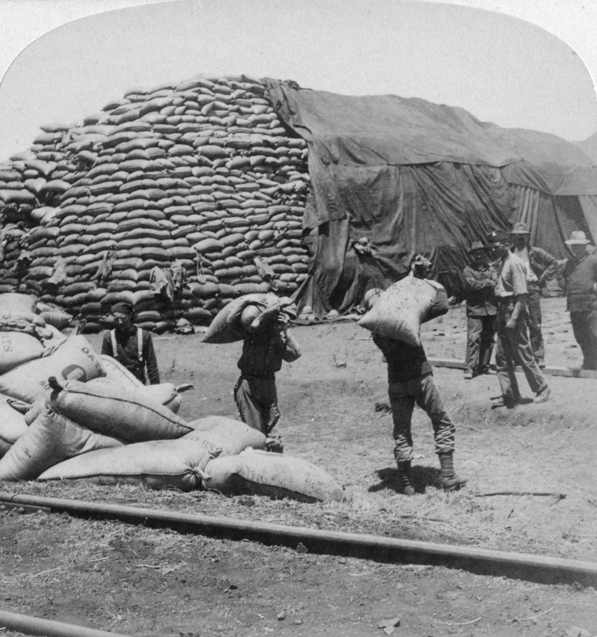 Ton på ton av havre för Tommys trogna vän, De Aar, Sydafrika, Boerkriget, 1900. av Underwood and Underwood