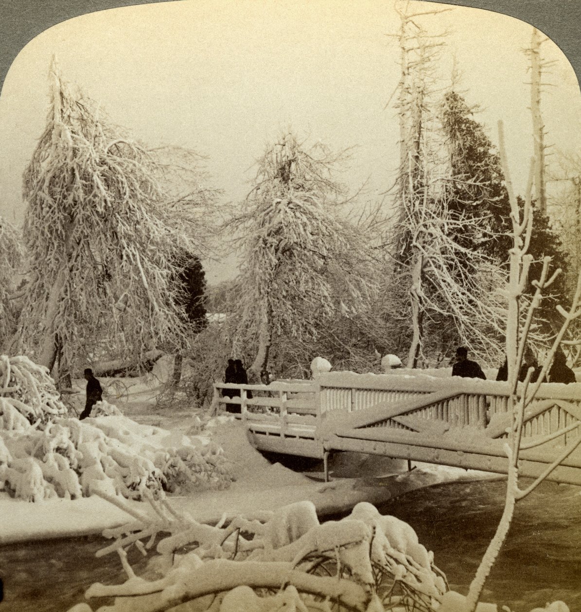 Vinterscen, Luna Island, Niagara Falls, New York, USA. av Underwood and Underwood