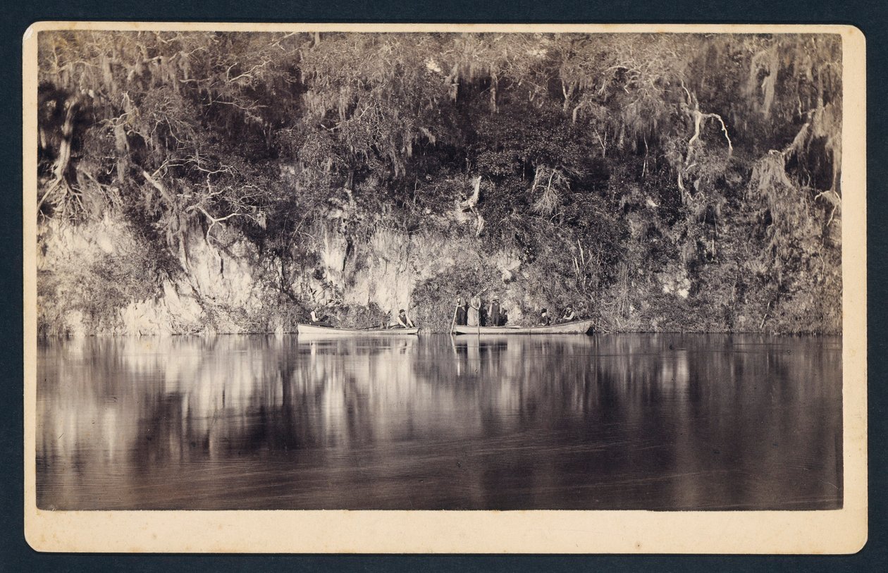 [Under klipporna vid Withlacoochee-floden, Florida] av Unidentified