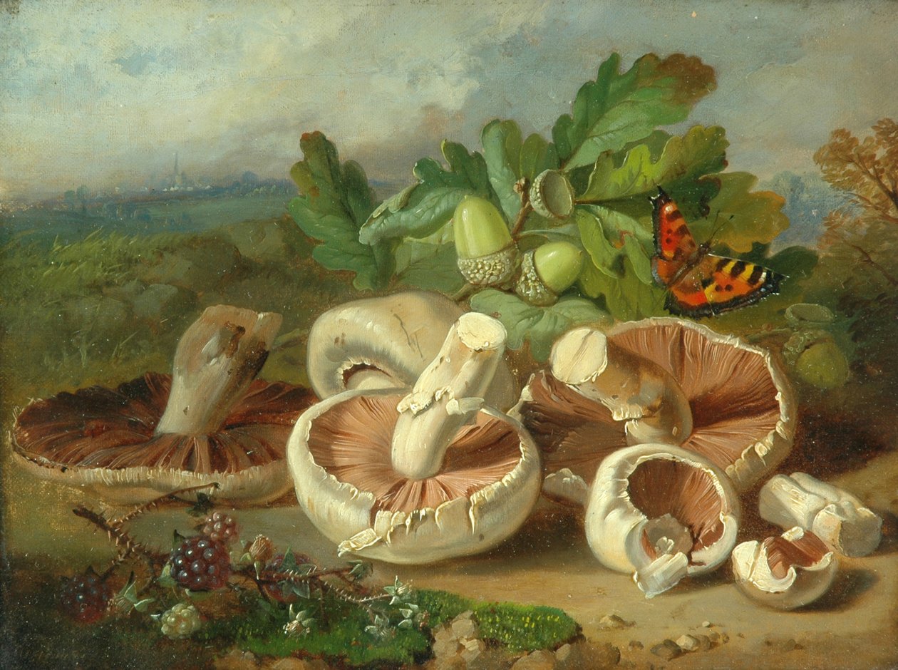 Stilleben med svamp etc., 1859 av Unknown
