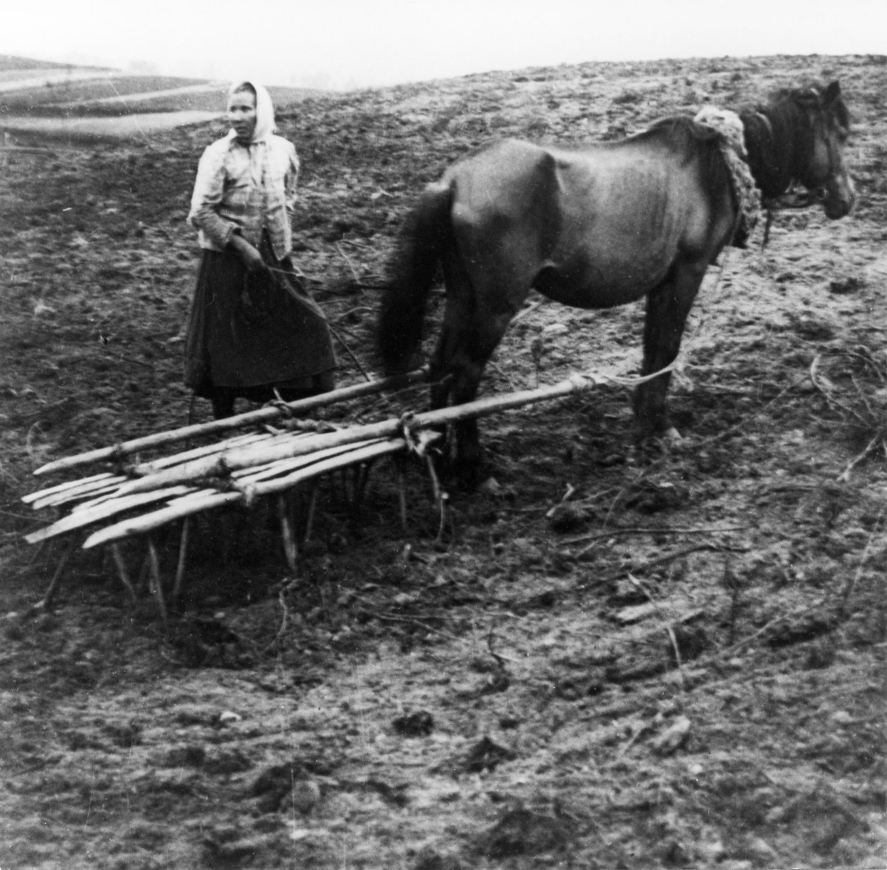 En bondkvinna med häst bearbetar jorden på en gård i byn Voronovo vid Volga i det förrevolutionära Ryssland, 1900. av Unknown