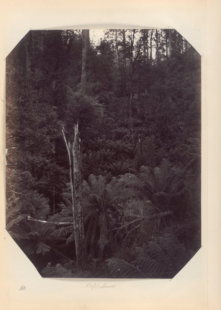 Australien - (Victoria och S. Australien) av Unknown