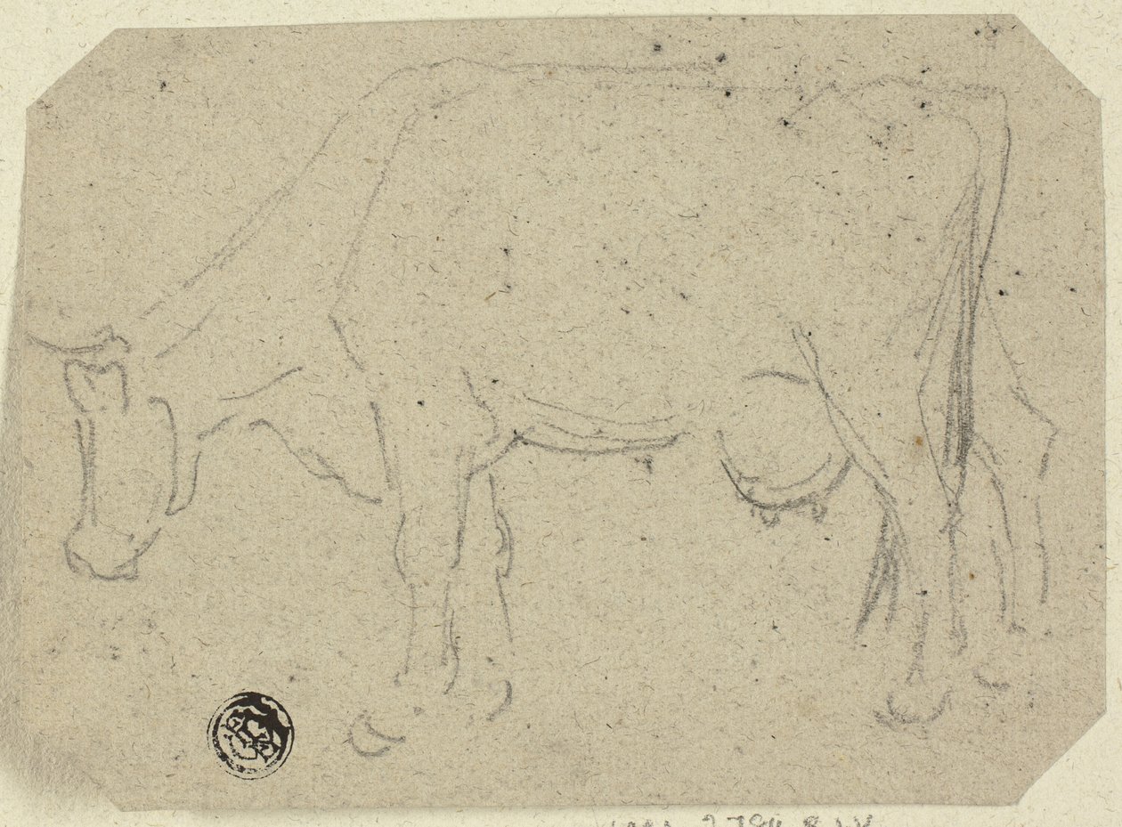 Kobete (recto); Huvudet av ett djur (verso) av Unknown