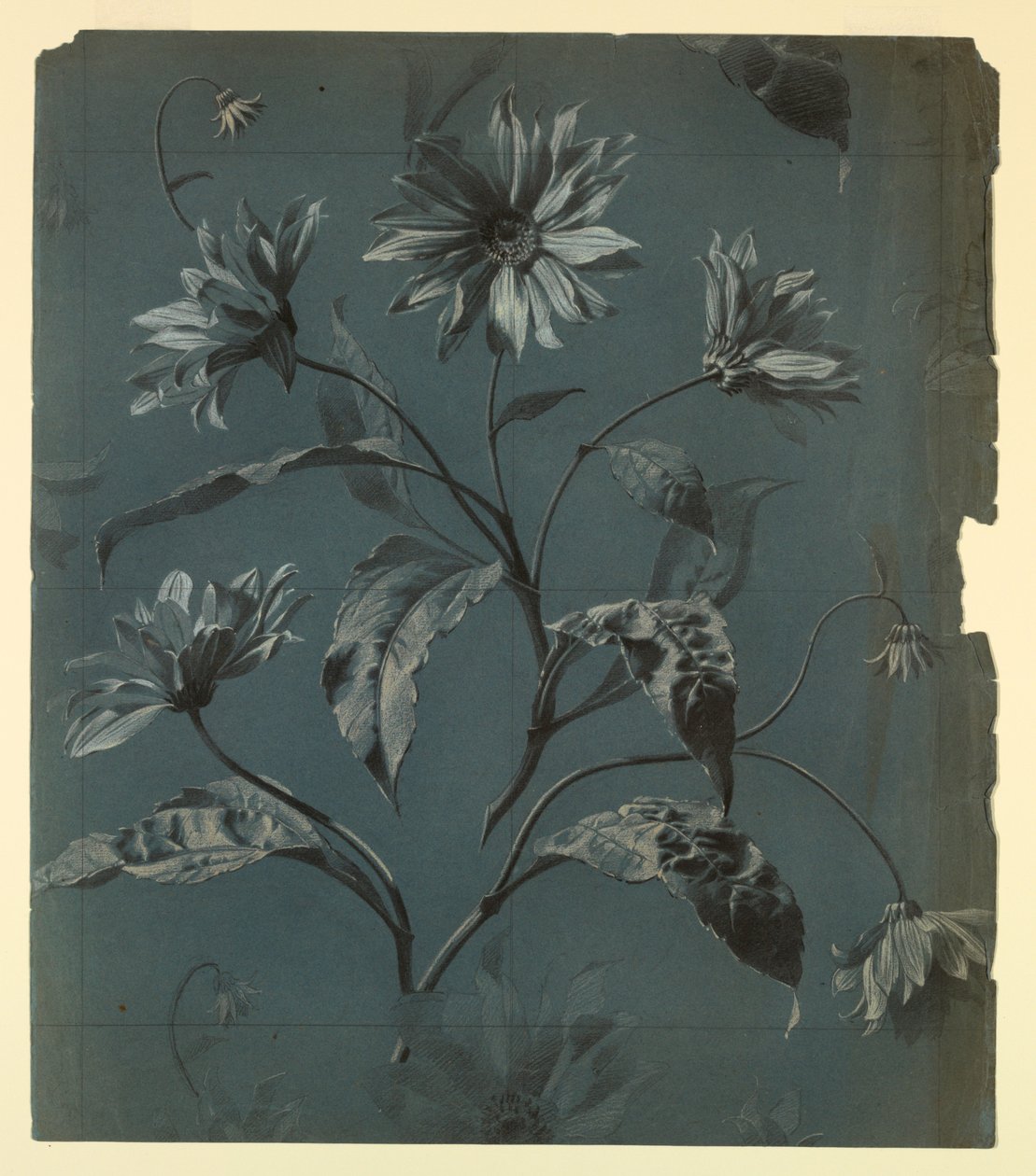 Design för tapeter eller textil av Daisy-Type Flower med Repeat av Unknown