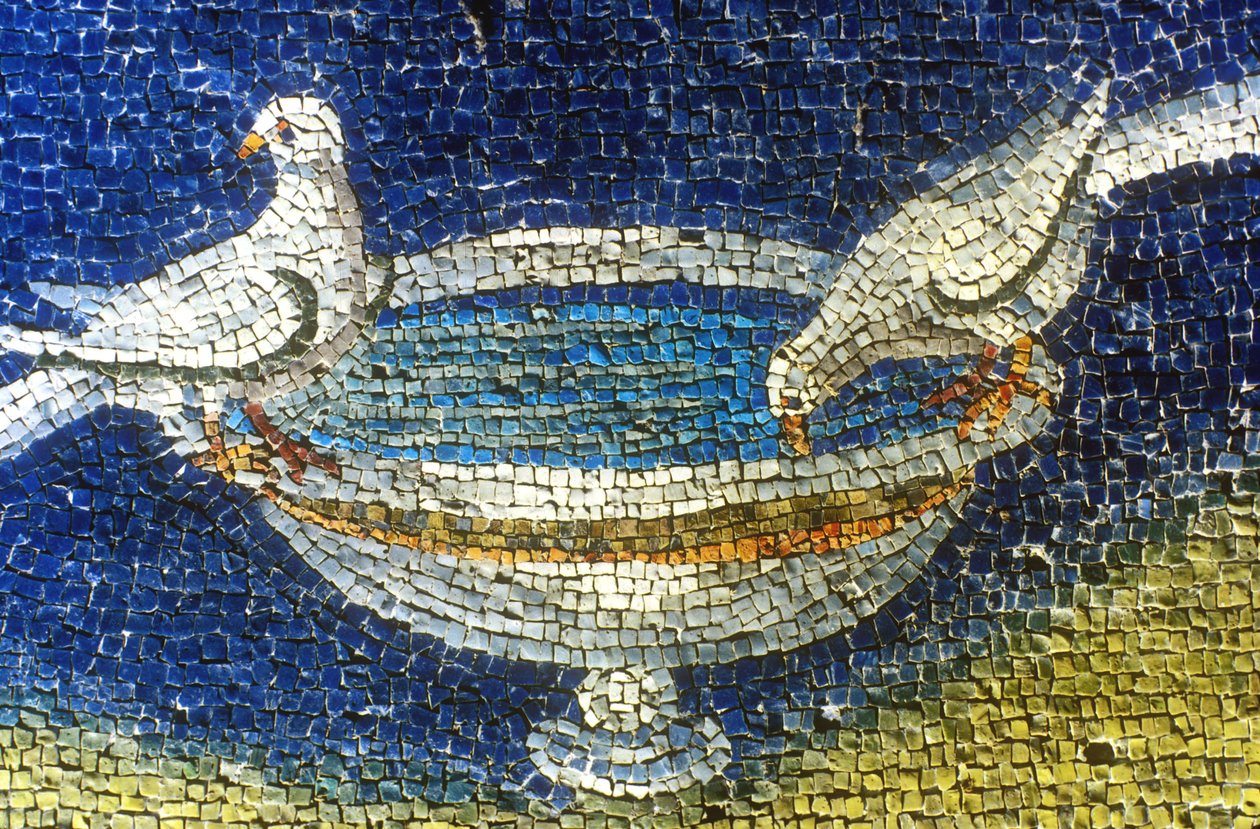 Duvor som dricker: mosaik i Galla Placidia (390-450) mausoleum i Ravenne, Italien, (400-talet, tidig kristen konst) foto taget 1990 av Unknown