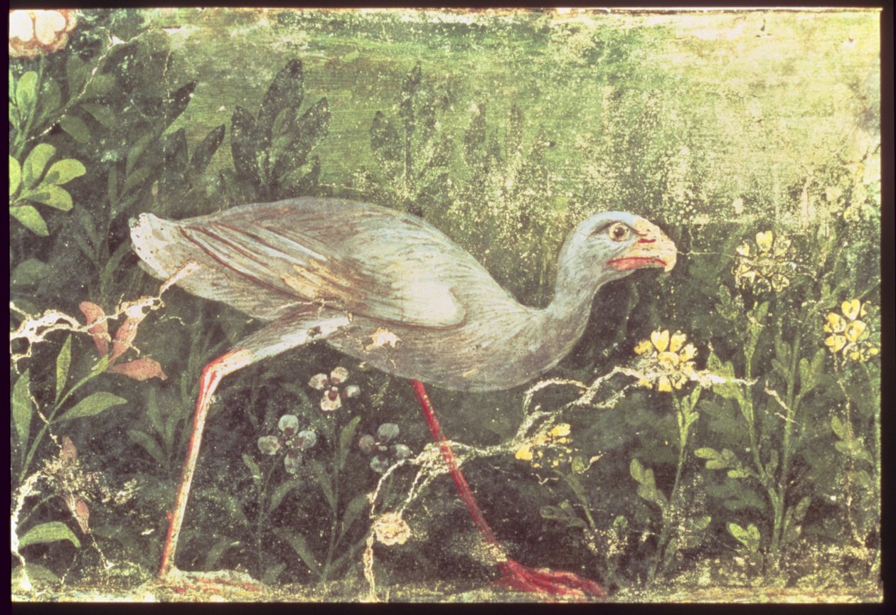 Väggmålning av en Sultan-kyckling i en trädgård, Pompeji, 1:a århundradet e.Kr av Unknown