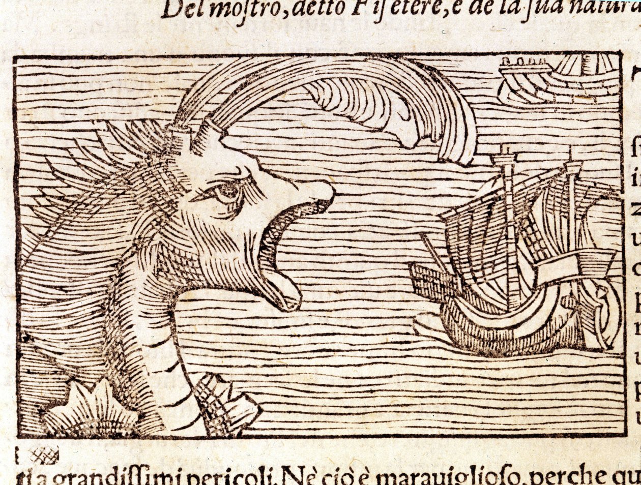 En kaskelot (?) (fyseter) attackerar ett skepp. Gravyr av Olaus Magnus (1490 - 1557), svensk religiös och geograf, "History of the Northern Nation", Venedig av Unknown artist