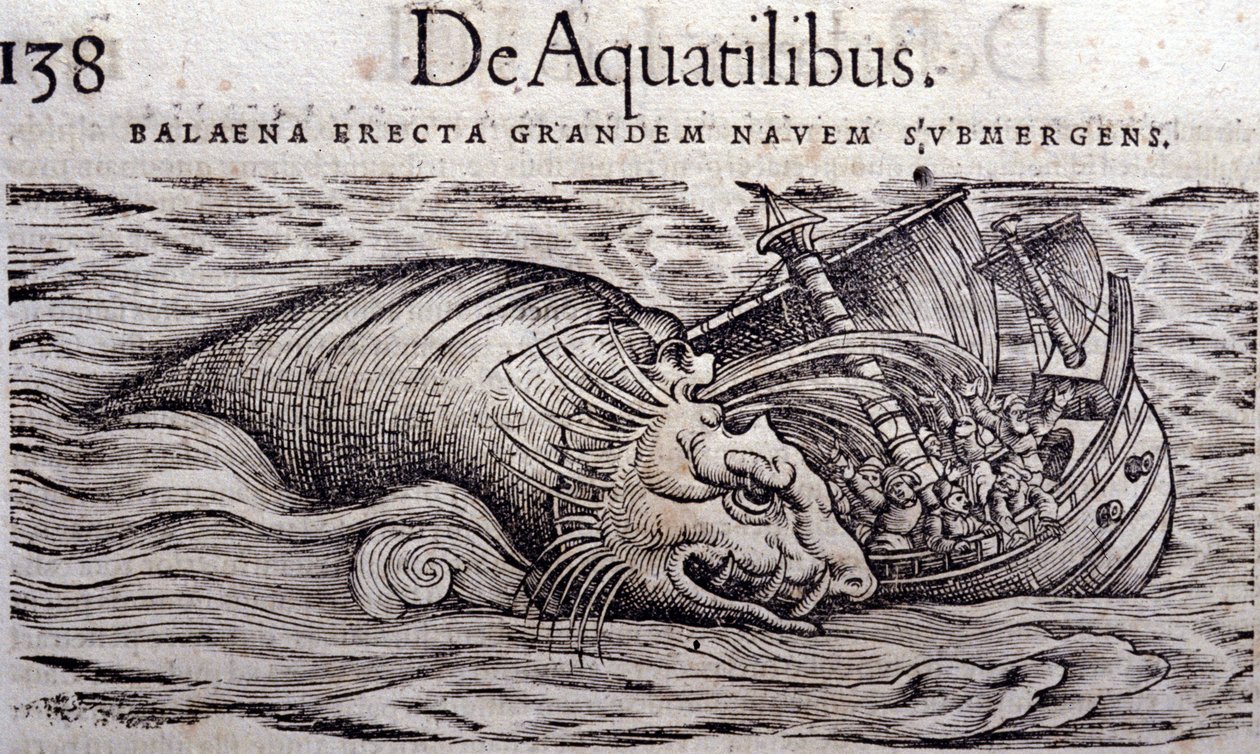 En val förstör en båts skrov och gör att den sjunker. Gravyr i Historia Animalium av Conrad Gesner (1516 - 1565), Tiguri av Unknown artist