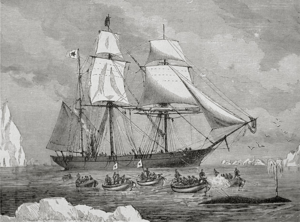 En valfångare med båt snabbt till en "fisk" (med pistolharpunen) av Unknown artist
