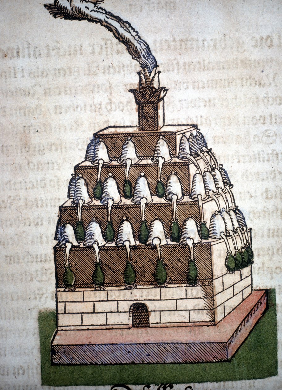 Alchemy: the Athanor Four från en bok av Pietro Andrea Mattioli (Matthiole) (1500-1577). Frankfurt av Unknown artist