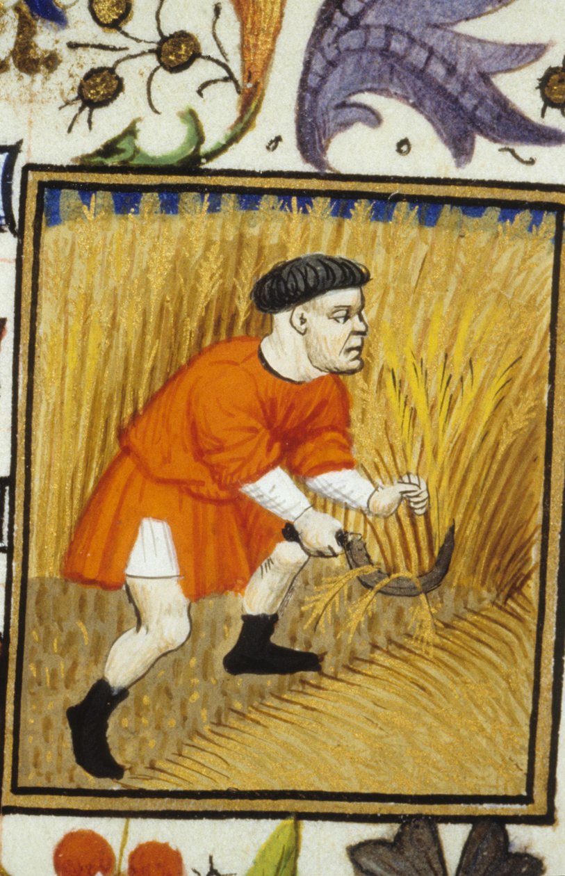 Allegorisk framställning av juli. Skörd: en bonde som slår gyllene vete. Miniatyr av ett 1300-talsmanuskript. av Unknown artist