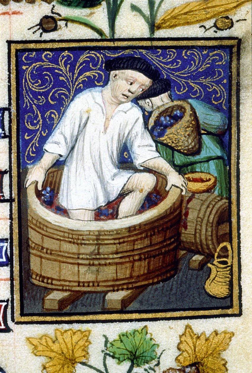 Allegorisk framställning av september. Skörd, druvstrippning. Miniatyr av ett 1300-talsmanuskript. av Unknown artist