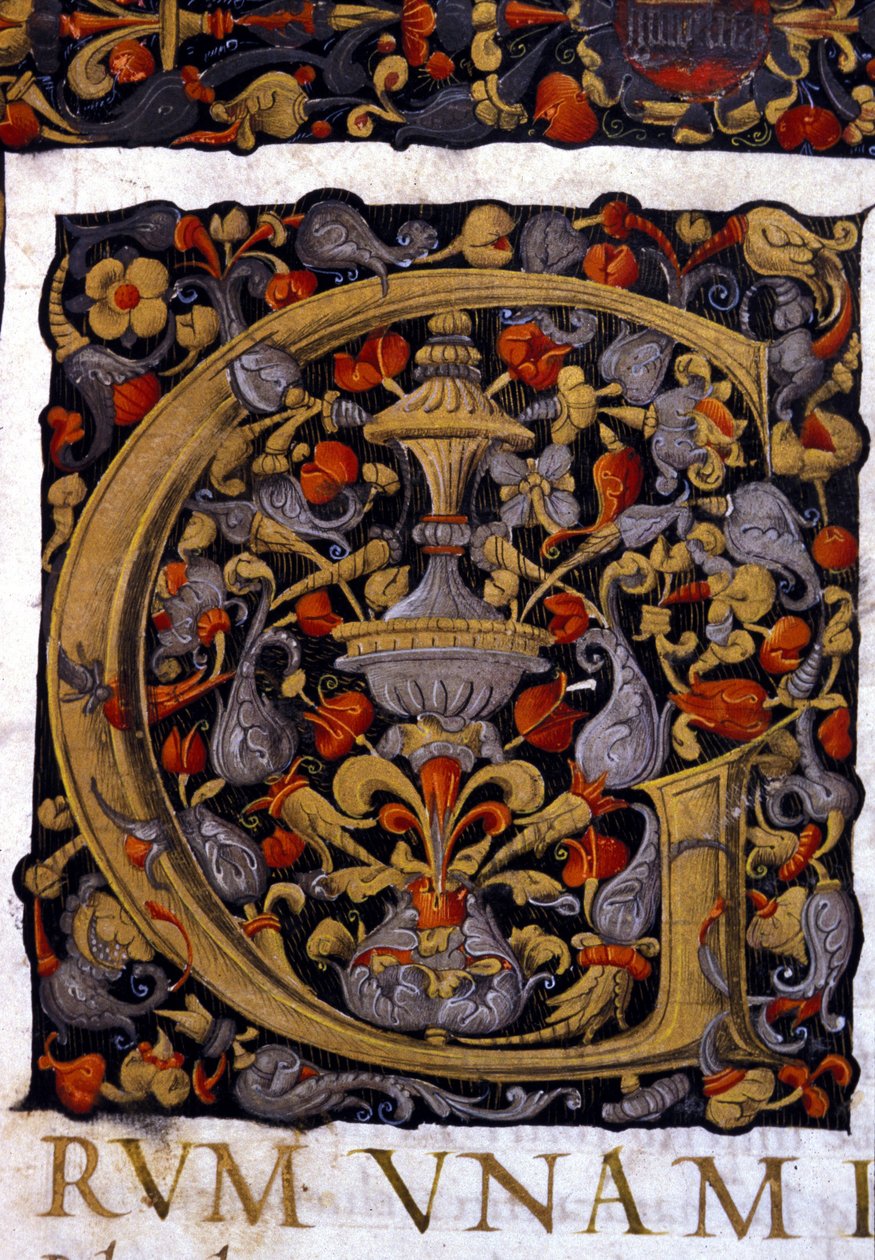Alfabet: miniatyrbokstaven G av Unknown artist