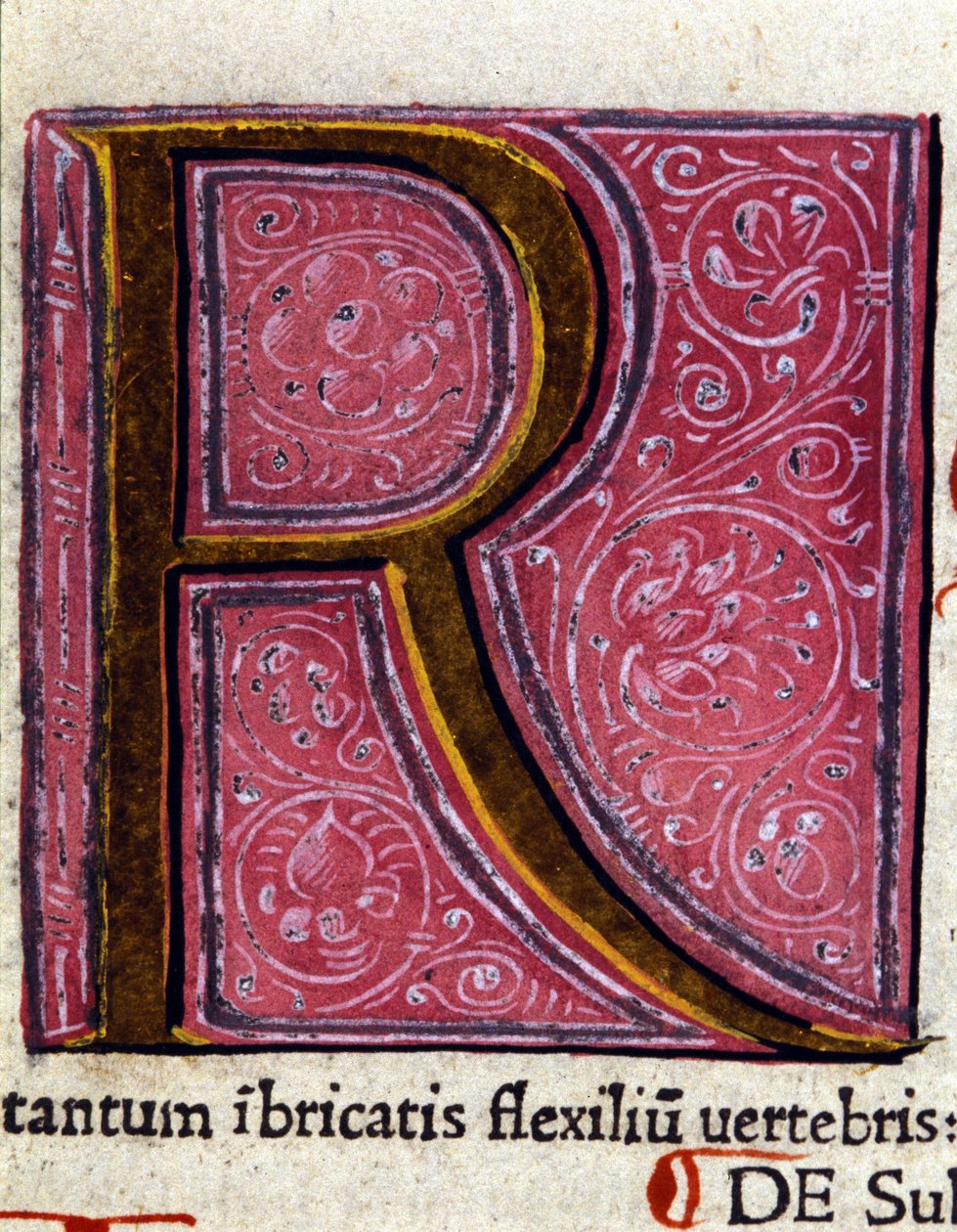 Alfabet: miniatyrbokstaven R av Unknown artist